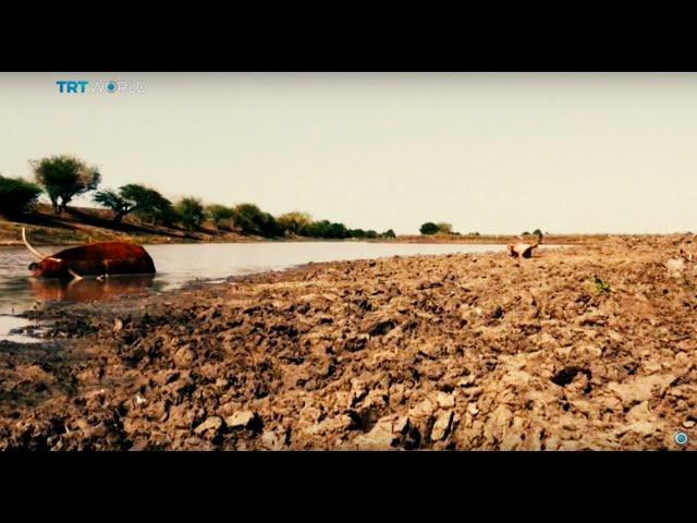 Insight: Global Water Shortage