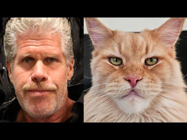 Ron Perlman Looks Like Me (Music Video) - DJ Buster