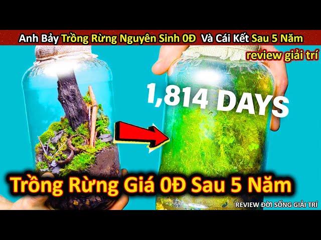 Chơi Lớn Trồng Rừng Nguyên Sinh Giá 0Đ Và Cái Kết Bất Ngờ Sau 5 Năm || Review Giải Trí Đời Sống