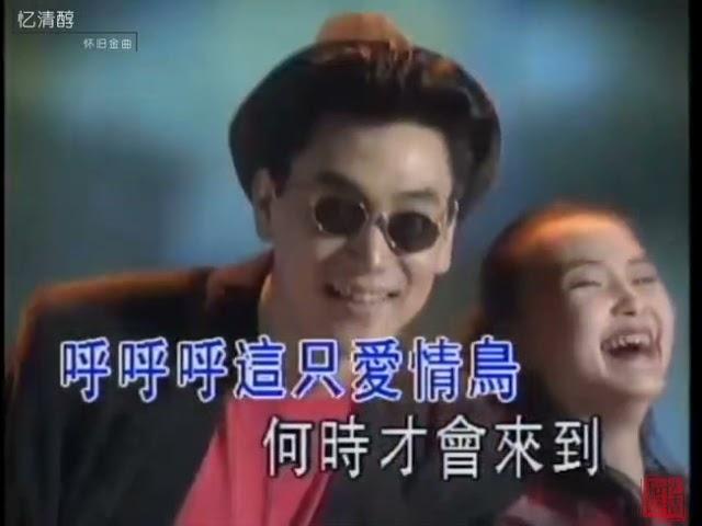 1994年 林依伦《爱情鸟》 经典MV  | 欢迎订阅【忆清醇・怀旧金曲】