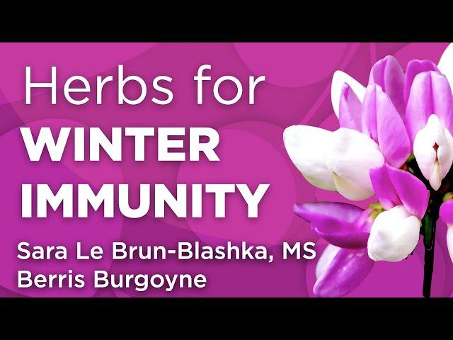 Herbal Approaches for Winter Immunity | WholisticMatters Podcast | Special Series: Medicinal Herbs