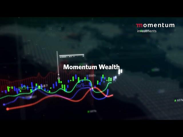 Momentum Investments: Who we are