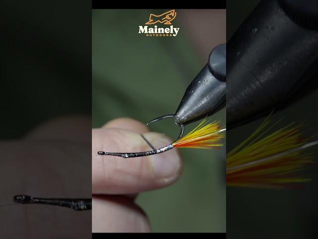 Try THIS Fall Wet Fly!