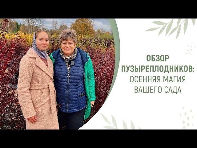 ОБЗОР ПУЗЫРЕПЛОДНИКОВ: ОСЕННЯЯ МАГИЯ ВАШЕГО САДА