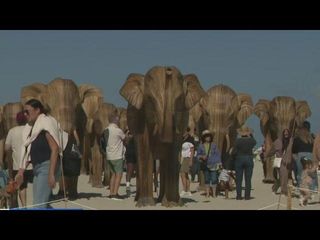 Great Elephant Migration captivates visitors at Art Week