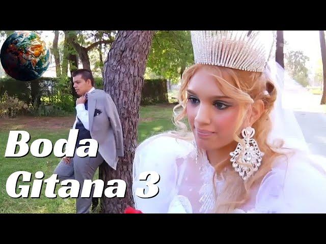 Boda Gitana 3: Por Amor o Por Dinero | Realidad Documentales 267