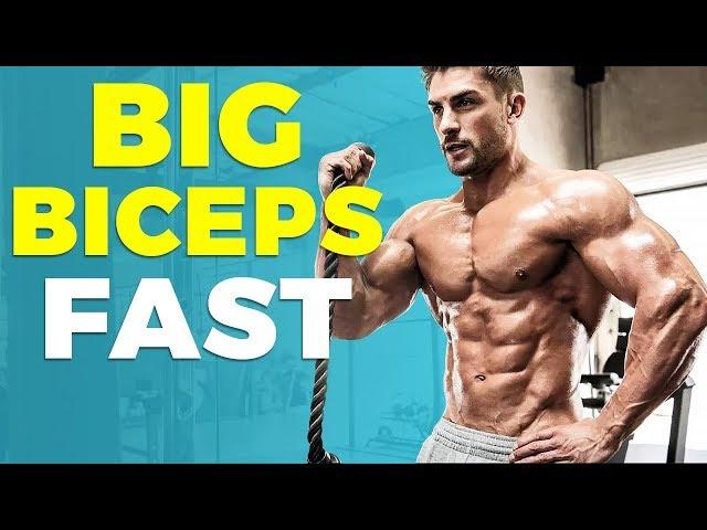 5 AWESOME Biceps Exercises ANYONE Can Do | Big Biceps FAST | Alex Costa