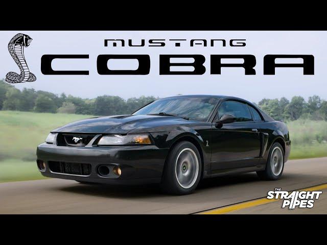 I Bought my High School Dream Car - 2003 Ford Mustang SVT Terminator Cobra Review