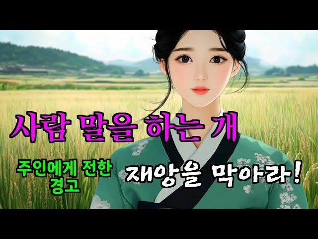 [여우야담] 몰아보기 '원님의 탐욕을 벌한 도깨비 방망이' 등 5편 3시간. 야담, 민담, 전설, 설화, 옛날이야기