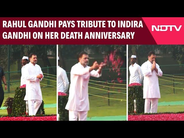 Rahul Gandhi News | Rahul Gandhi Pays Tribute To Grandmother Indira Gandhi On Her Death Anniversary