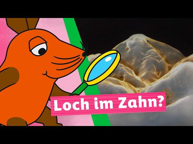 Wie entstehen Zahnlöcher? | Die Maus | WDR