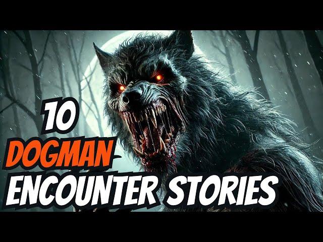 10 Scary DOGMAN Encounter Stories