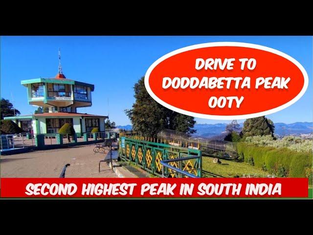 Driving to Doddabetta Peak - OOTY, South India's Highest Point