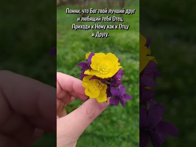 Доброе утро! Приблизьтесь к Богу и приблизится к вам! Христианское пожелание
