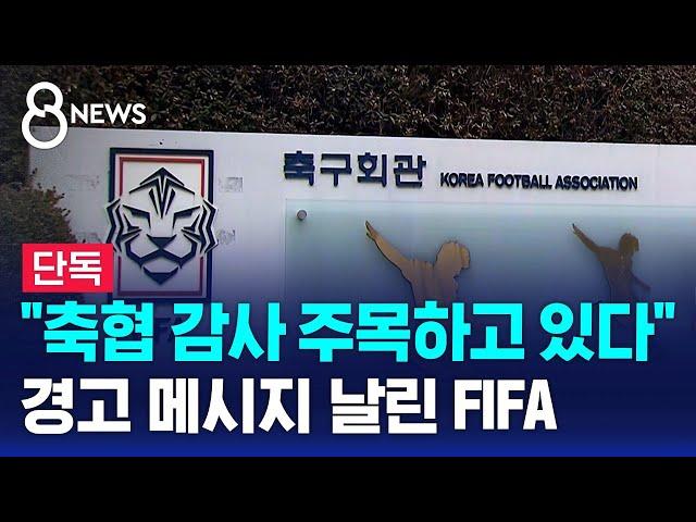 [단독] "축협 감사 주목…외부 간섭 시 제재" FIFA의 경고 / SBS 8뉴스