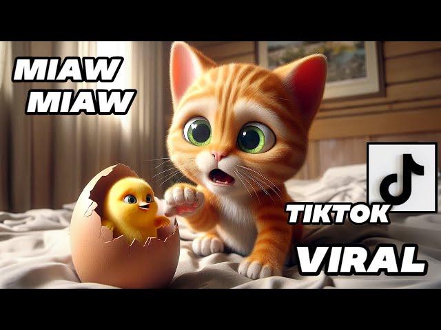 The Kitten and the Chick - A Friendship Sad Story Miaw Miaw Miaw Miaw Sad Song Cat Visual