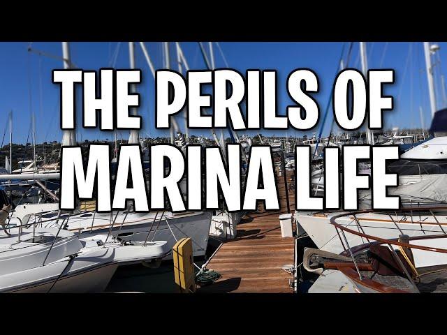 The DANGERS of MARINA LIFE!