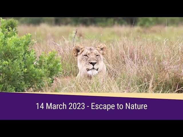 Escape to Nature Highlights 14 March 2023