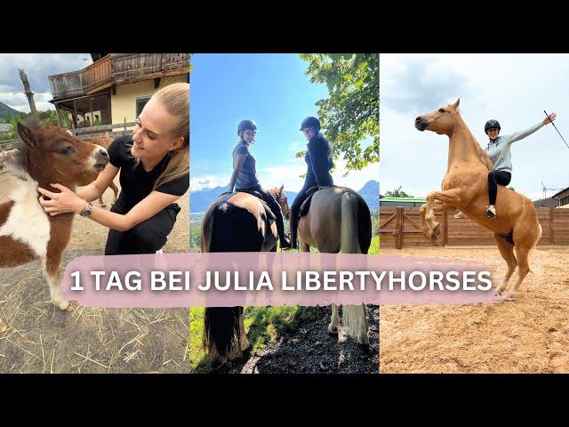 Einen Tag bei Julia Libertyhorses 