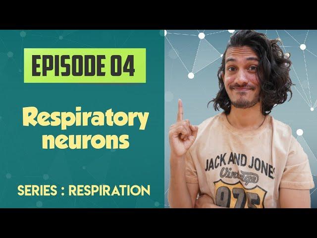 Respiratory neurons , Central pattern generators