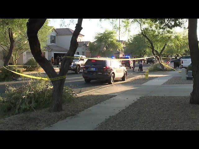 Renter accused of killing landscaper hired by landlord to trim trees in Gilbert
