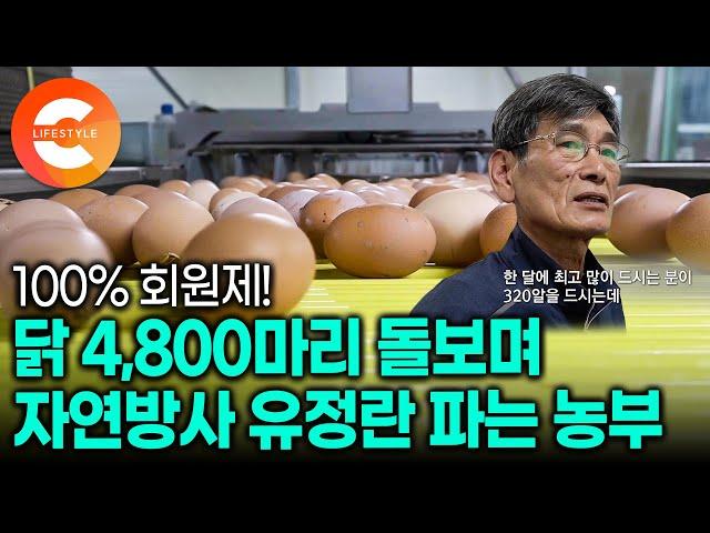 "회원제 운영, 직거래 판매로 억대 매출 냅니다" 2천 평 땅에서 4천 마리 닭에게 12첩 반상을 먹이는 자연방사 유정란 농부의 노하우│달걀 정기구독 서비스│#극한직업