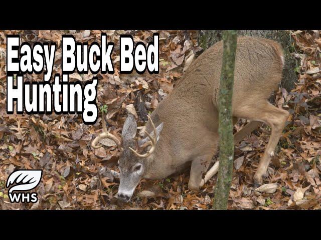 Locate Buck Beds In 5 Easy Steps