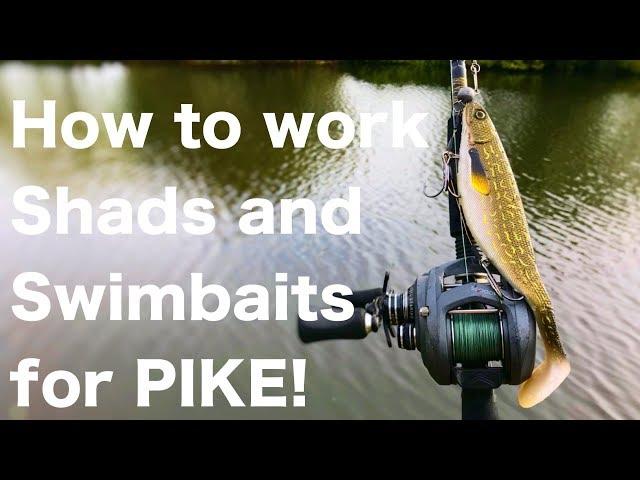 How to work Shads and Swimbaits when canal fishing for Pike! quick tips