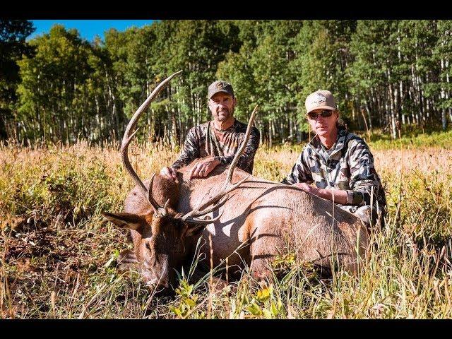 Bull elk down in 16 seconds! "That GrizzlyStik went through him like a hot knife through butter."