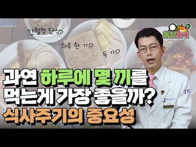 과연 하루에 몇 끼를 먹어야 몸에 가장 좋을까? 식사주기의 중요성, 식사빈도, 식습관