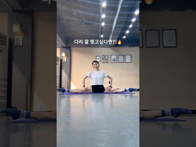 다리찢고 싶다면?! 발레리나의 옆으로 다리찢는법ㅣ사이드스플릿 #shorts #ballerina #stretch