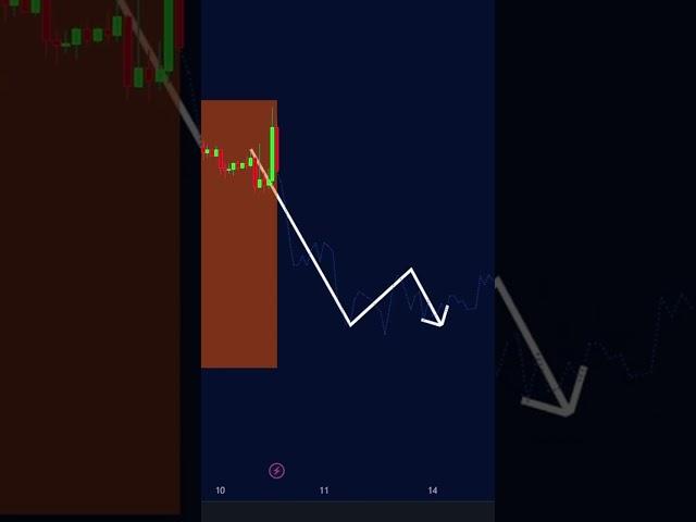 This SECRET Lux Algo TradingView INDICATOR Predicts the Future 