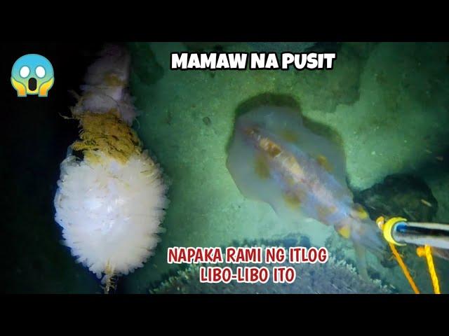 EP 349: MAMAW NA PUSIT NAPAKA RAMING ITLOG LIBO-LIBO ITO KAPAG NA PISA NA DAMING PAPANAING PUSIT