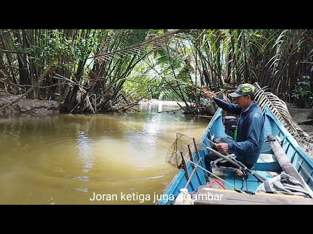 Fishing in a small river, up to three fishing rods were struck by poisonous fish