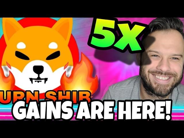 Analysts Expect SHIB To 5x! Base Dawgz Could See a 10x Increase!