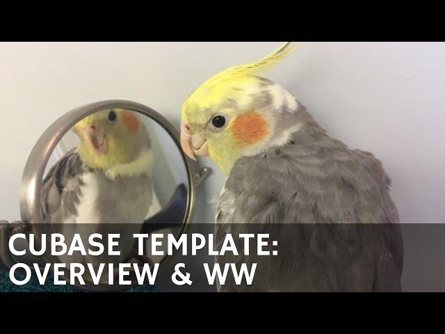 AA07 Cubase Template, Part One: Overview and Woodwinds