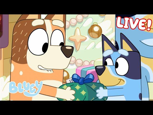 LIVE: Christmas Time with Bluey  | 1 HOUR of Festive Fun! | Bluey