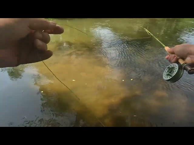 Maxcatch ultralight combo Tested by Craig’s outdoor adventures