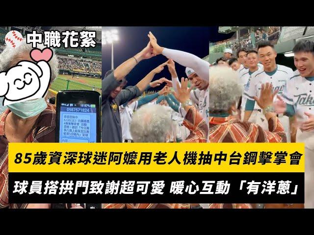 中職／溫馨花絮！85歲資深球迷阿嬤用老人機抽中台鋼擊掌會　球員搭人體拱門致謝超可愛 暖心互動「有洋蔥」｜NOWnews