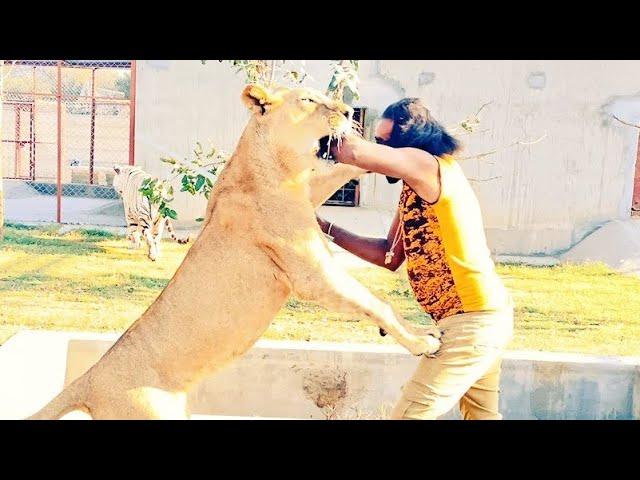 Animal Lover Wild Animal trainer |Asifsherowala| |Pakistani| Shero ka Badshah