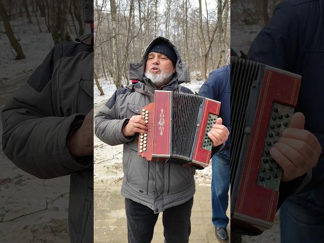 «Шамиля» от терского казака #гармонь #ойся #шамиля #частушки