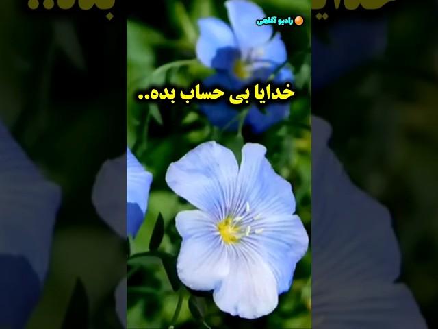 وهاب یعنی چی؟/ دعای خداونده که بی حساب می بخشه/رادیو آگاهی / #shorts
