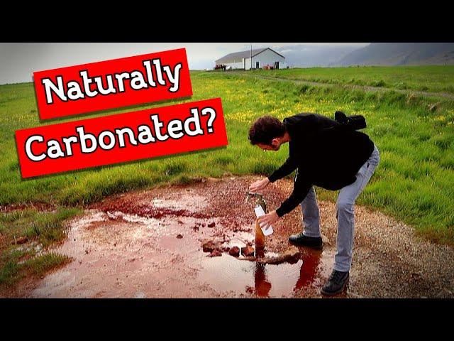 Drinking Water From the Ground in ICELAND (And from a waterfall!)