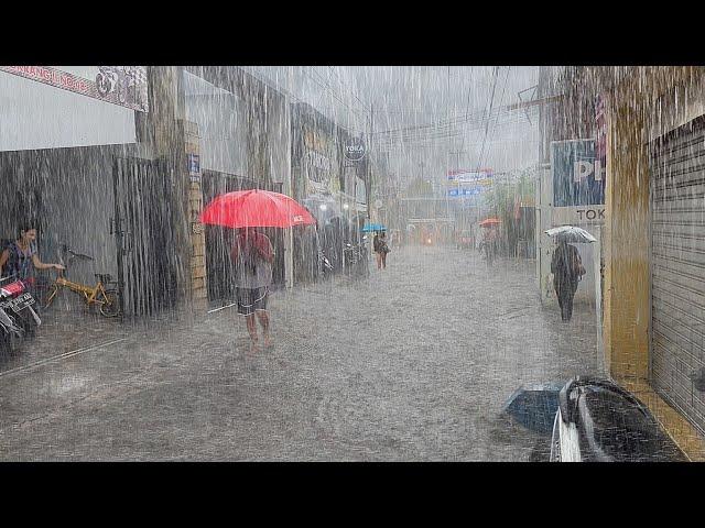 Super Heavy Rain in my village, very cold and heavy, immediately fell asleep with the sound of rain