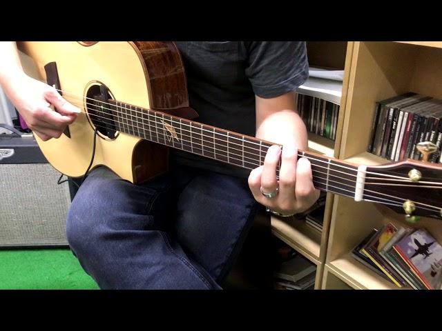 Double G0 DSP Acoustic pickups