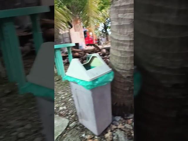 Somewhere in the Festival