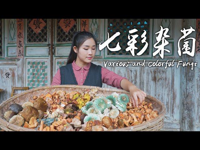 Elves in Yunnan Mountains——Various and Colorful Fungi