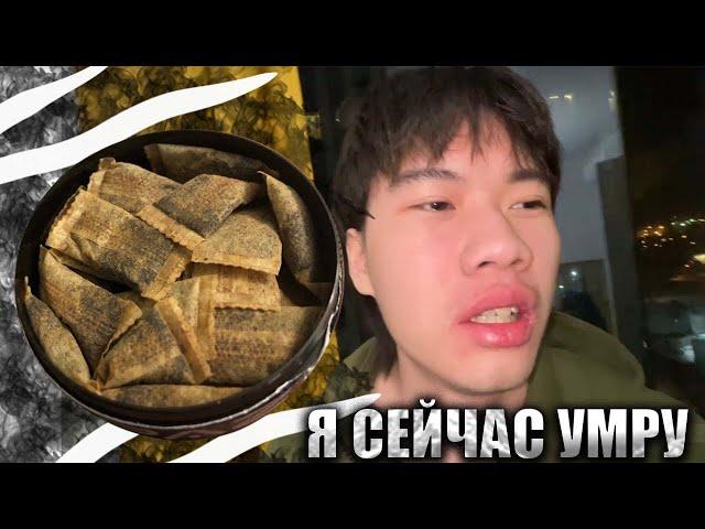 СТОПБАН ЗАКИНУЛ SNUS 105МГ!