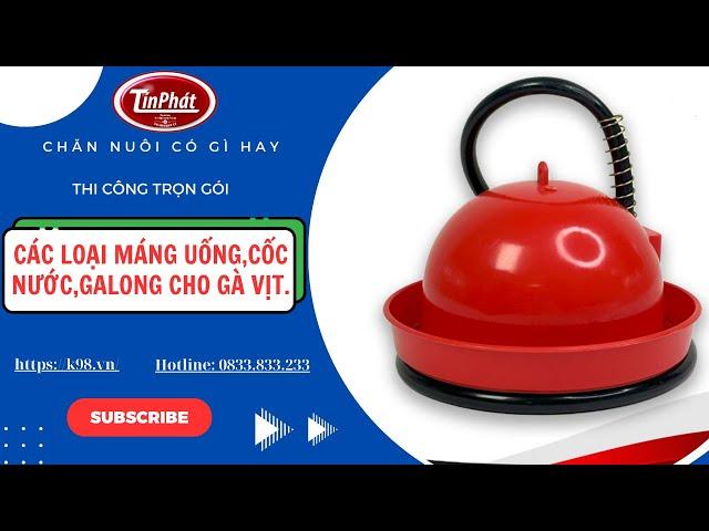 Tín Phát – Công Nghệ Cho Trang Trại Thông Minh đang phát trực tiếp!