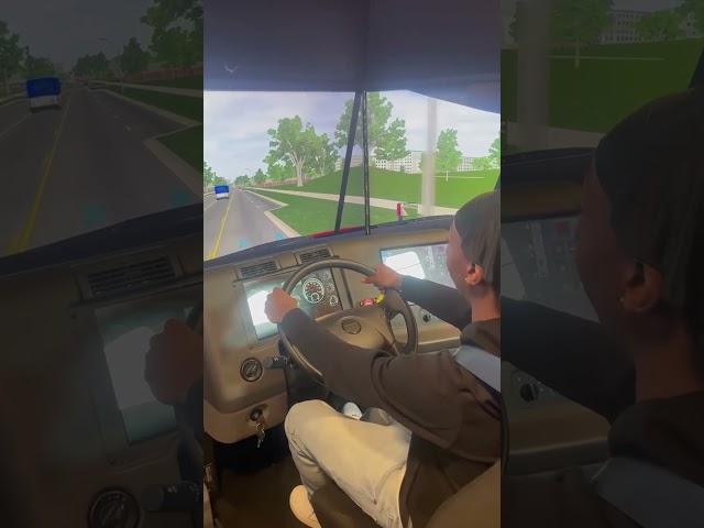 HIT and RUN in Truck Driving Sim!!!